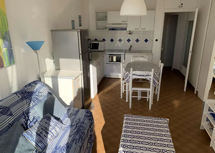 Bel Appt T2 Avec Terrasse Amenagee, Moderne & Confortable Pour 4 Pers, Port Camargue - Fr-1-731-93 Апартаменты Ле-Гро-дю-Руа