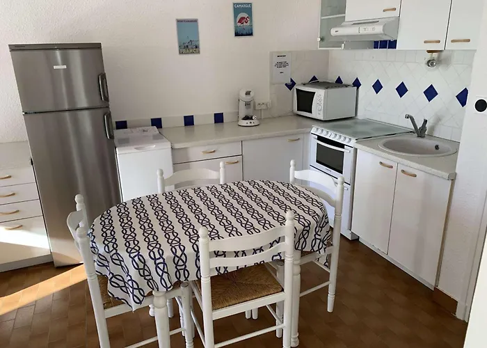 Bel Appt T2 Avec Terrasse Aménagée, Moderne&confortable Pour 4 Pers, Port Camargue - Fr-1-731-93
