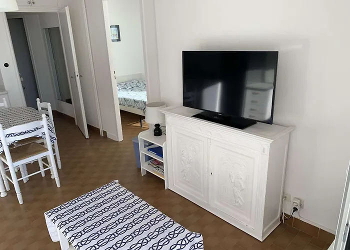 Bel Appt T2 Avec Terrasse Aménagée, Moderne&confortable Pour 4 Pers, Port Camargue - Fr-1-731-93 Le Grau-du-Roi